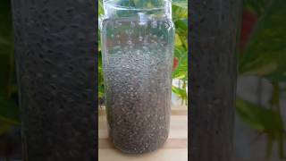 Hair Growth Solution Chia Seeds ytshorts food shorts [upl. by Ahselaf665]