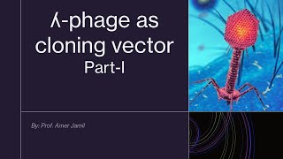 Lambda phage as cloning vector part I Recording [upl. by Llehcal]