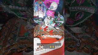 Vrindavan dham bhajan viralvideo bhakti radhakrishna viralvideo share reels ytshortsindia [upl. by Weismann449]