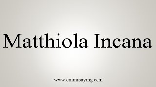 How To Say Matthiola Incana [upl. by Dodge]