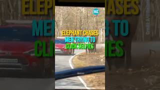 Elephant Chases Men Trying To Click Selfies In Bandipur Forest  Watch [upl. by Okoyk]