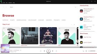 How to Customize Spotify Using Rainmeter [upl. by Allecram234]