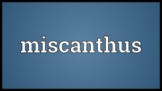 Miscanthus Meaning [upl. by Yelnek]