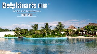 Dolphinaris Riviera Maya Park [upl. by Rezal]