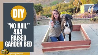 How to Build quotNo Nailquot 4x4 Raised Garden Beds [upl. by Wertheimer336]