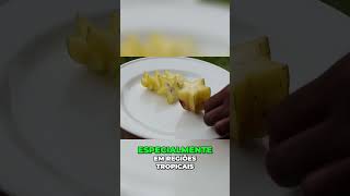 Carambola Sabor Exótico e Seus Riscos Ocultos [upl. by Davidson]