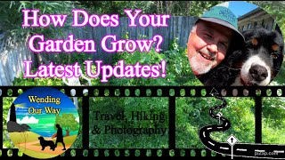 How Does Your Garden Grow Latest Updates  Lower Sackville Nova Scotia Canada [upl. by Milena]