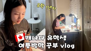 🇨🇦16살 캐나다 유학생의 여름방학 공부 vlog 다 놀았니 이제 공부하자 오래간만에 열품타로 시간 재면서 공부했어요 헬로음이유니 [upl. by Patti]