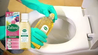 THE 5 MINUTE DEEP CLEAN FOR YOUR TOILET  Disinfect the loo with Zoflora [upl. by Yar]