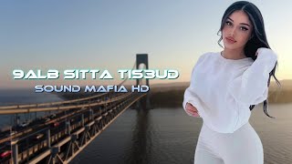 Arabic Remix  9alb Sitta Tis3ud  قلب ستة تسعود Sound Mafia HD🌟 Remix TikTok Trend [upl. by Anital]