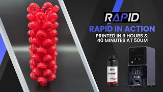 Rapid DLP Jewelry Resin Printer Printing Casting Trees in 3 Hours with ProtoResins Garnet [upl. by Reace]