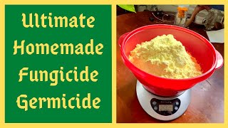 Worlds Strongest Natural Fungicide  Say Goodbye To Plant Diseases  How To Make JADAM Sulfur [upl. by Latea208]