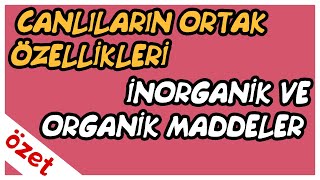 Canlıların Ortak Özellikleri  İnorganik ve Organik Maddeler Özet  TYT Biyoloji [upl. by Ainafetse]