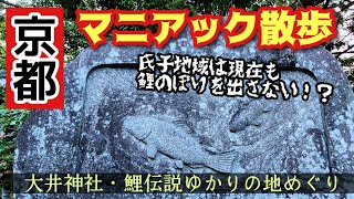 【京都観光】京都マニアック散歩～大井神社・鯉伝説ゆかりの地めぐり～ [upl. by Guenevere823]