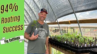 5 Secrets to Rooting Fig Tree Cuttings Easy Steps for Success [upl. by Llorre]