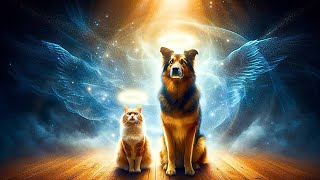 THE SHOCKING SPIRITUAL TRUTH ABOUT WHY DOGS AND CATS ARE IN YOUR LIFE [upl. by Ycak615]