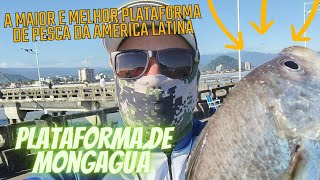 PLATAFORMA DE PESCA DE MONGAGUÁ 🎣 🐟 A maior e melhor plataforma de pesca da América latina fishing [upl. by Rehpotsirhcnhoj136]