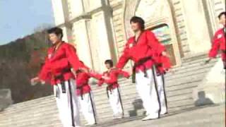 Poomsae Taekwon Dance Taegeuk 1 Jangmpg [upl. by Ayotl]