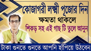 কোজাগরী লক্ষ্মী পূজার দিন শিকড় সহ এই গাছটি তুলে নিয়ে আসুন। টাকা গুনতে গুনতে আপনি হাঁপিয়ে উঠবেন [upl. by Marylinda]