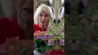 Camilla’s postition in the royal family is already in jeopardy foryou youtube royalsfamily [upl. by Hare]