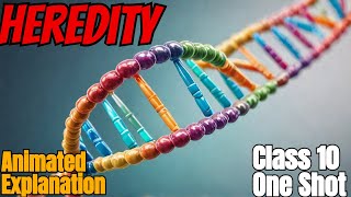 Heredity  Ch 8 Class 10 Science  One Shot  Sooban Talha [upl. by Zerla]