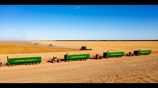 Erangy Farms taking off a bumper crop with four 45 headers combines in the Mid West of WA [upl. by Hafirahs]