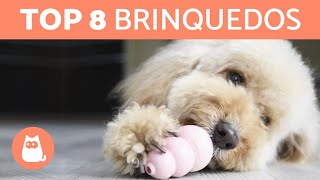 Os 8 melhores BRINQUEDOS para CACHORRO 🥏🐕 [upl. by Maje]