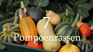 7 Pompoenrassen [upl. by Blau]