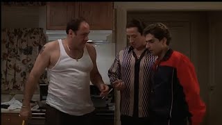 The Sopranos  Furio Giunta speaks in Italian only  no subtitles [upl. by Winne]