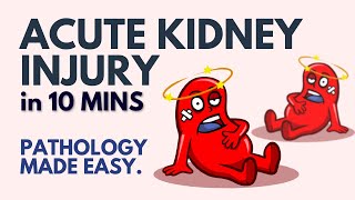 Acute Kidney Injury in 10 Minutes l Pathology Made Easy [upl. by Cirted]