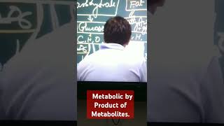 Metabolic Products of Metabolite like Glucose Fatty acid Glycerol ampAminoacid [upl. by Durst]