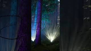 The Enchanted Forest 2023 sound amp light show From the Deep near Pitlochry in Scotland shorts [upl. by Fawna]