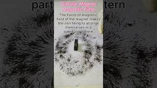 Circular Magnet Magnetic Field  shorts [upl. by Oniskey]