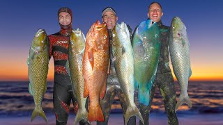 What is spearfishing With AUSTRALIAN CHAMPION [upl. by Letney817]