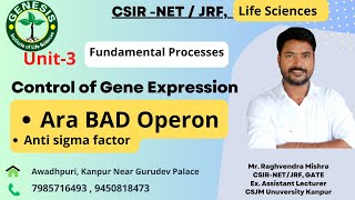 Ara BAD Operon  Gene regulation  Molecular Biology [upl. by Arayc]