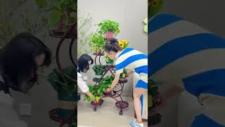 Iron multilayer plant flower stand makes the home more beautiful and warm plantstand flowerstand [upl. by Ayim628]