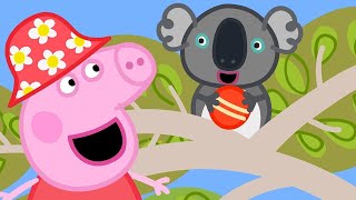 Peppa Meets a Koala Bear 🐷🐨 Peppa Pig  Official Channel [upl. by Rehptsirhc890]