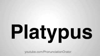 How to Pronounce Platypus [upl. by Jillie590]