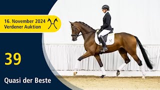 No 39 Quasi der Beste by QSieben  Sancisco  Verden Auction Online  Sporthorses  November 16th [upl. by Rosenzweig]