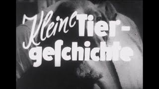 DEFA Heimfilm Nr 7  Kleine Tiergeschichten [upl. by Schaffel324]