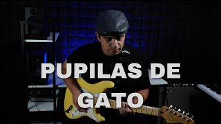 Pupilas de Gato  Luis Miguel  Cover Guitarra [upl. by Ttenna]