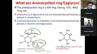 Aminoglycosides Antibiotics Aminocyclitol rings chemical Properties and Structure of Streptomycin [upl. by Salazar]