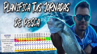 ▶TUTORIAL WINDGURU🌊 Planifica tu JORNADA de PESCA LUBINAS a SPINNING desde costa [upl. by Monahan]