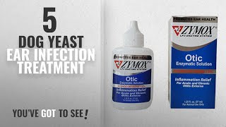 Top 5 Dog Yeast Ear Infection Treatment 2018 Best Sellers Pet King Brand Zymox Otic Pet Ear [upl. by Ulda353]