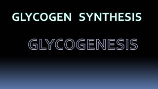 GLYCOGENESIS  glycogen metabolism biochemistry [upl. by Coyle]