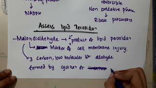 assess lipid peroxidation II biochemistry mp4 [upl. by Mufinella]