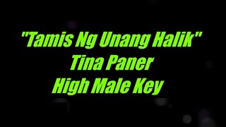 Tamis Ng Unang Halik by Tina Paner High Male Key Karaoke [upl. by Esya]