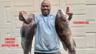 BLACK SEABASS VS BLACKFISHTAUTOG CATCH CLEAN COOK TASTE TEST [upl. by Ymaral]