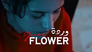 Gnawi  FLOWER  وردة ProdThe onh  Official Music Video [upl. by Elleina104]