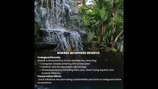 Nokrek Biosphere Reserve Indias Unique Biosphere Reserves [upl. by Cozmo446]